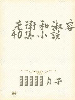 老卫和淑容1-40集小说