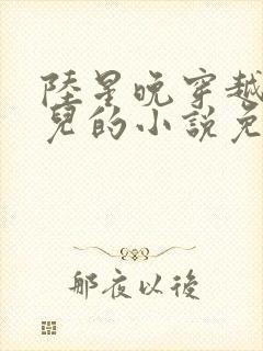 陆星晚穿越成婴儿的小说免费阅读全文