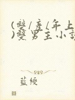 (双/产/年上)双男主小说