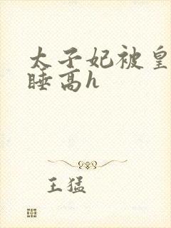 太子妃被皇上强睡高h