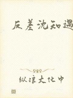 反差沈知遇晏应