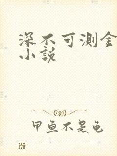 深不可测金银花小说