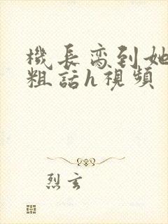 机长脔到她哭h粗话h视频