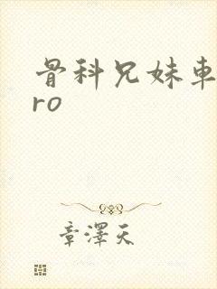 骨科兄妹车多pro封面