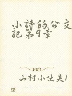 小诗的公交车日记第9章封面