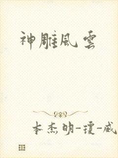 神雕风云