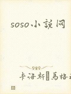soso小说网
