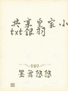 共享皇家小公主txt银羽