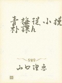 青梅从小摸到大补课h