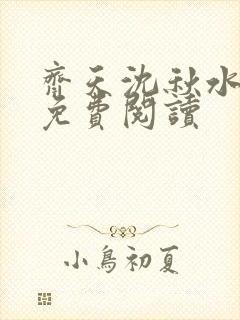 齐天沈秋水小说免费阅读