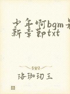 少年啊bgm最新章节txt