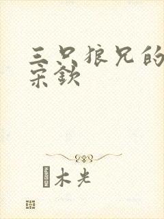 三只狼兄的宠妻宋钦