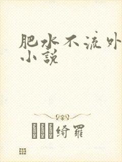 肥水不流外人田小说