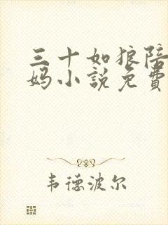 三十如狼陪读妈妈小说免费阅读封面