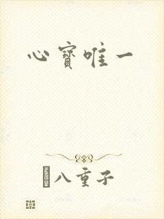 心宝唯一