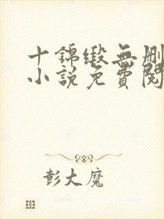 十锦缎无删原著小说免费阅读