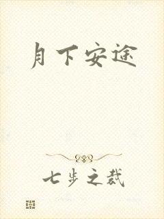 月下安途
