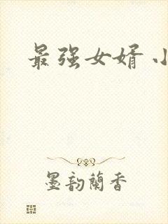 最强女婿 小说封面