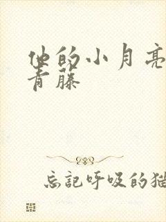 他的小月亮by青藤