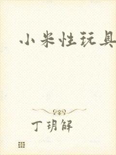 小米性玩具日记封面