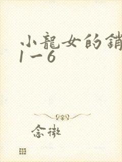 小龙女的销魂夜1一6封面