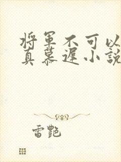 将军不可以魏云真慕迟小说笔趣阁