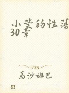 小莹的性荡生活30章封面