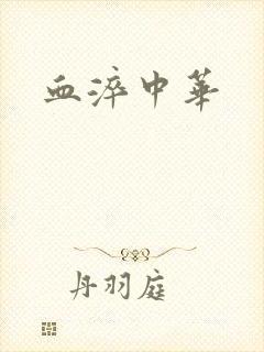 血淬中华封面