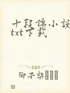 十段锦小说全本txt下载