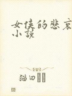 女侠的悲哀续集小说封面