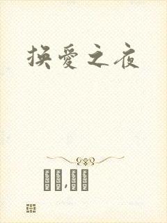 换爱之夜封面