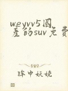 weyvv5国产的suv免费