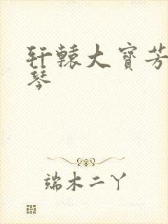 轩辕大宝芳菲雅琴