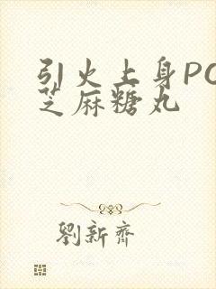 引火上身POP芝麻糖丸封面