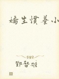 娇生惯养小说封面