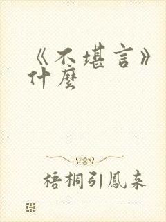 《不堪言》讲的什么封面