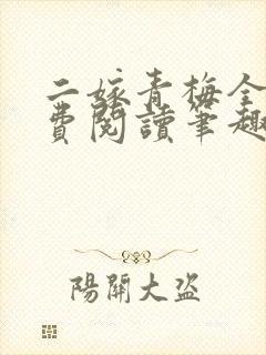 二嫁青梅全文免费阅读笔趣阁