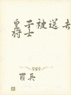 皇子被送去犒劳将士