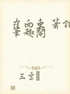 崔向东 萧错 笔趣阁