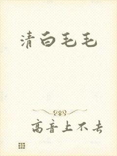 清白毛毛