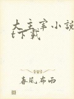 大主宰小说txt下载