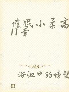 催眠小柔高达第11章封面