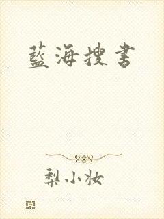 蓝海搜书封面