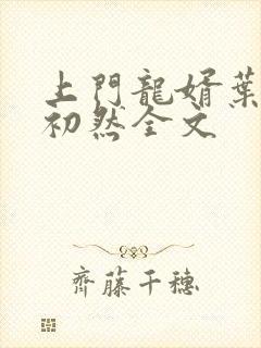 上门龙婿叶辰萧初然全文封面