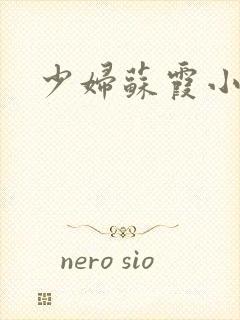 少妇苏霞小说封面