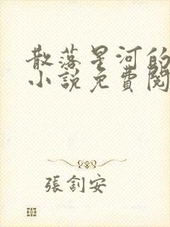 散落星河的记忆小说免费阅读全文封面