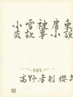 小雪被房东的好爽故事小说