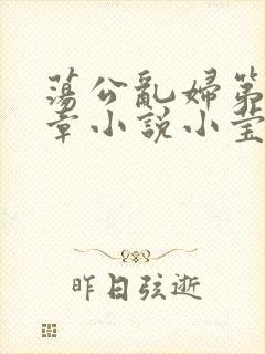 荡公乱妇第51章小说小莹