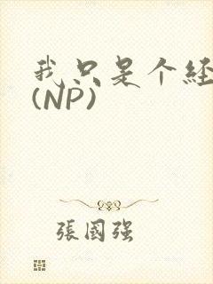 我只是个经纪人(NP)