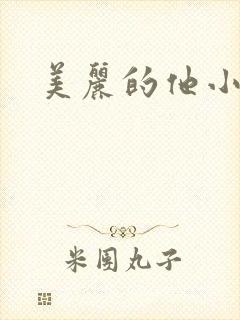 美丽的他小说封面